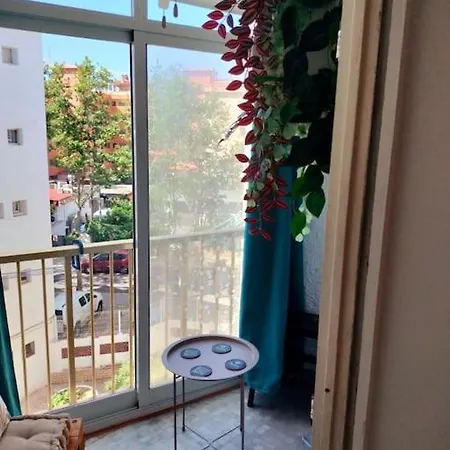 Apartment 2-4 Pers Animations *